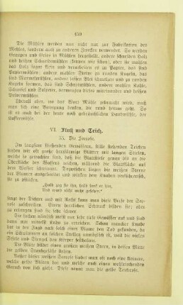 VI. Fluß und Teich