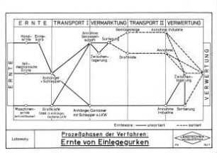 Prozeßphasen der Verfahren: Ernte von Einlegegurken