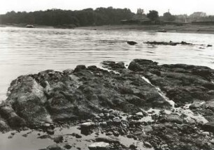 Nordsächsische Elbniederung. Klippe (Kieselschieferbreccie, Kulm) bei Niedrigwasser im Elbbett bei Röderau-Promnitz. Blick über die Elbe auf Riesa mit Jahnamündung