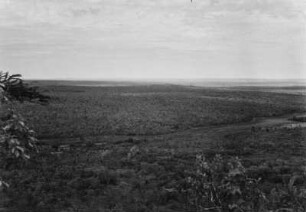 Landschaftsaufnahme : Blick auf eine bewaldete Fläche nahe Nioaque.