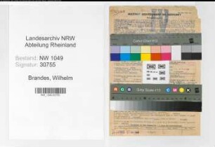 Entnazifizierung Wilhelm Brandes , geb. 13.05.1903 (Betriebspruefer)