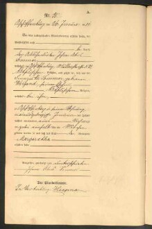 Standesamtsbuch der Stadt Aschaffenburg: Geburten 365/1900 - 184/1901