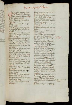 118r-119r Registrum capitulorum de apibus