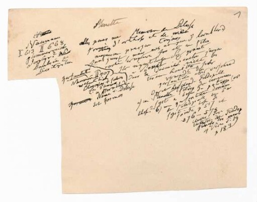 Geologische und Mineralogische Notizen und Excerpte, nebst Zeitungsausschnitten und Publikationsfragmenten / Humboldt, Alexander