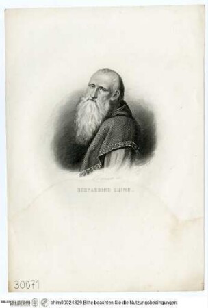 Luini, Bernardino, Porträt