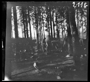 Komaika-Stellung (=Kamaja/Kamoja, Gewässer in Litauen): Soldaten im "Wald hinter der Komaika-Stellung" (Distanzaufnahme)