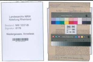 Entnazifizierung Anneliese Niedergesaes , geb. 23.06.1905 ()
