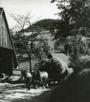 Heuernte im Schwarzwald