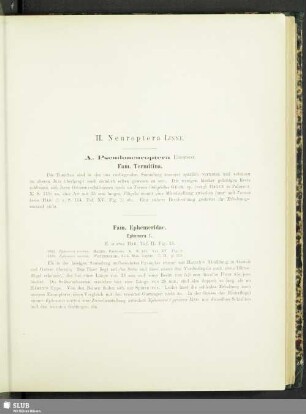 II. Neuroptera Linne