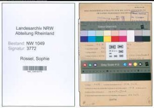 Entnazifizierung Sophie Rossel , geb. 19.06.1919 (Verwaltungsangestellte)