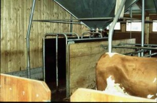 Fotografie: Precision Livestock Farming, Milchviehhaltung, Prozeßtechnik, Abrufstation