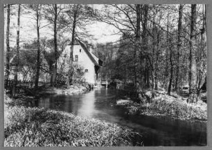 Frühling an der Portitzer Mühle bei Taucha