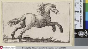 [Steigendes Pferd nach links; Rearing Horse Facing Left]