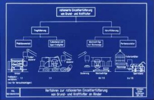 Verfahren zur rationierten Einzeltierfütterung von Grund- und Kraftfutter an Rinder