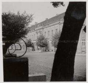 Potsdam