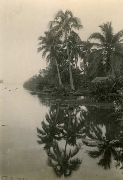 "Paysage des environs de Papeete, Tahiti"