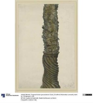 Fragment einer gewundenen Säule, Schaft mit Weinreben umrankt