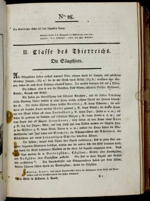 II. Classe des Thierreichs. Die Säugthiere.