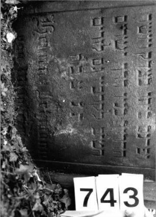 Grabstein 743 (Index: 99802192) Material: Sandstein Zustand: leicht verwittert/Textverlust Maße HxBxT: 117x62x22 cm Beschreibung: St. m. verdacht. eingezog. Rundbogen, Seitenakroterien, 2Halbsäulen Symbolik: Seitenakroterien, Halbsäulen Besonderheit: Endreim: Grabstein 743 (Detailaufnahme)