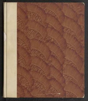 Daemones Cogentis Jesuitae compositus et praecipuus liber
