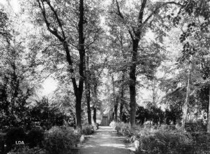 III. Städtischer Friedhof Berlin-Schöneberg; Berlin, Tempelhof-Schöneberg