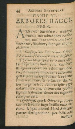 Caput VI. Arbores Bacciferae.