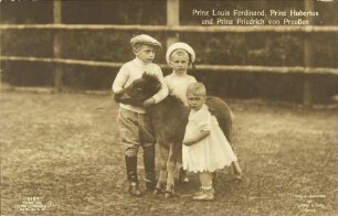 Prinz Louis Ferdinand, Prinz Hubertus und Prinz Friedrich von Preußen