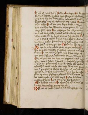 Thomas de Cantiprato: Bonum universale de apibus. Miraculum.