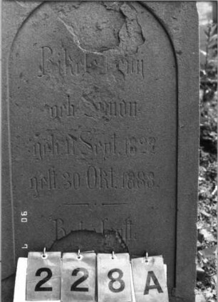 Grabstein 228 (Index: 99790284) Zustand: weiter verwittert Maße HxBxT: 153x62x26 cm Symbolik: geflügelte Sanduhr: Grabstein 228A