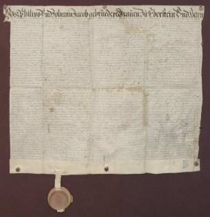 Vertrag zwischen den Grafen Philipp und Johann Jakob zu Eberstein wegen der rixingenschen Forderung an Graf Ludwig von Leiningen-Westerburg und verschiedene andere, die linksrheinischen Besitzungen des Hauses Eberstein betreffende Angelegenheiten