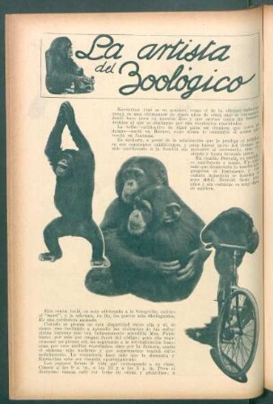 La artista del zoológico