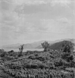 Kiwusee : Ufer des Kiwusees
