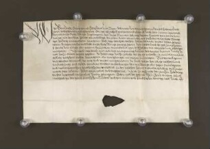 Regest Hoppe. 1559 Juli 30. Betr. Wiederaufnahme des wegen Verwundung eines Krämers geflohenen Jonas Lugmann in die Stadt Lemgo.