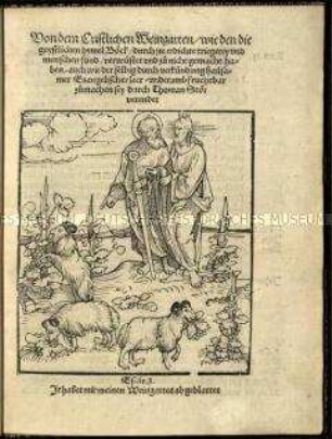 Gleichnis vom kahlgefressenen Weinberg und den Zuständen in der Katholischen Kirche