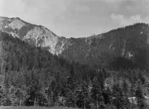 Wald am Berghang : Blick auf einen bewaldeten Berghang