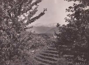 Südtirol. Landschaft im Etsch-Gebiet mit Weinbergen und Schloss