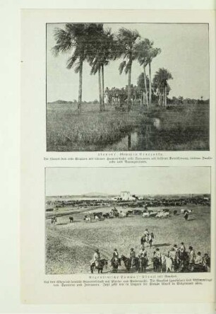 Argentinische Pampa (=Ebene) mit Gauchos