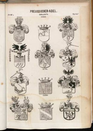 Taf. 145. Cölmer. - Colmar. - Colomb. - Coninx. - Conring. - Conrady. - Conta. - Le Coq. - Conway. - Corswant. - Cordier. - Corbin