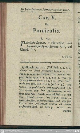 Cap. V. De Particulis
