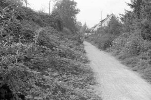 Städtisches Gelände entlang der Litzelau in Knielingen