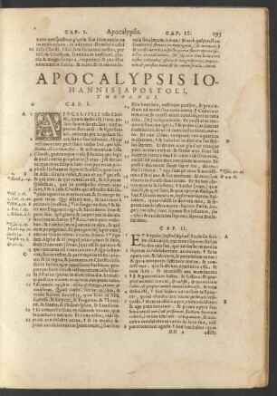 Apocalypsis Iohannis Apostoli, Theologi.