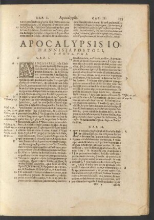 Apocalypsis Iohannis Apostoli, Theologi.