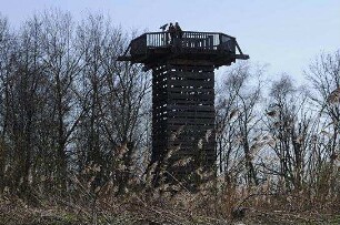Deutschlands wilde Vögel - Teil 2 - Die Reise geht weiter