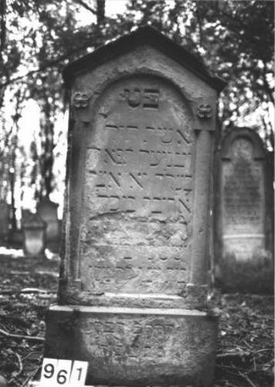 Grabstein 961 (Index: 99899491) Material: Sandstein Zustand: fast völlig verwittert Maße HxBxT: 148x64x24 cm Beschreibung: aufgesockelte Stele mit auskragendem Dreiecksabschluss, im Bogenfeld Blüten, seitlich Säulen Symbolik: Blüten: Grabstein 961