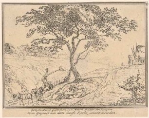 Landschaft bei Gorbitz (Dresden-Gorbitz) südwestlich von Dresden