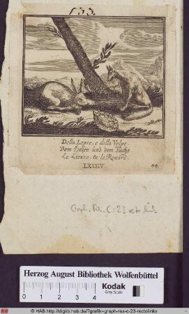 Vom Hasen und dem Fuchs.