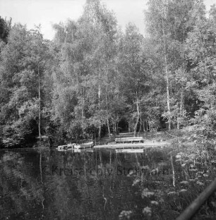 Lasbek-Gut: Lasbeker Mühlenteich mit Bootsanlegestelle und Booten: dahinter Bäume