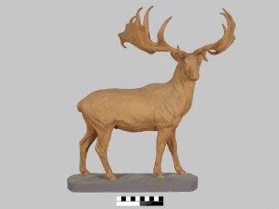 Gipsmodell: Riesenhirsch