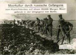Russische Kriegsgefangene beim Kultivieren einer Moorfläche