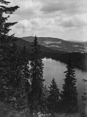 Teufelssee : Blick über Fichten auf den Teufelssee